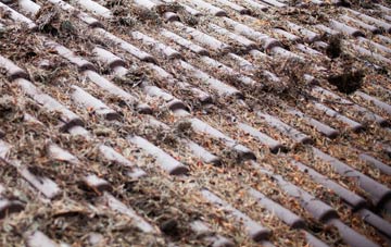 Brownston roof cleaning companies